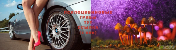 скорость Алексин