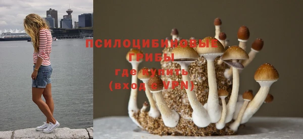 амф Алексеевка