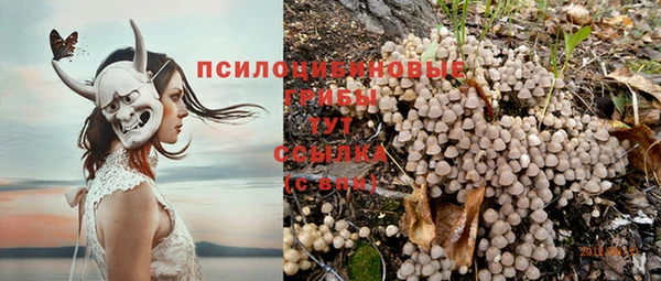 скорость Алексин