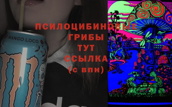 амф Алексеевка