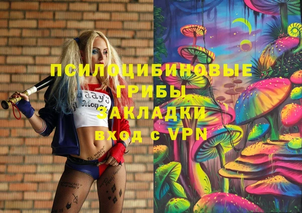2c-b Алзамай