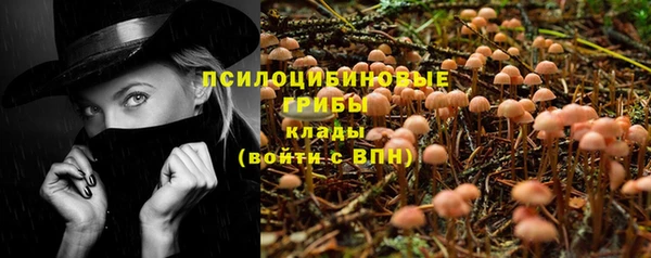 скорость Алексин