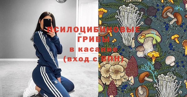 амф Алексеевка